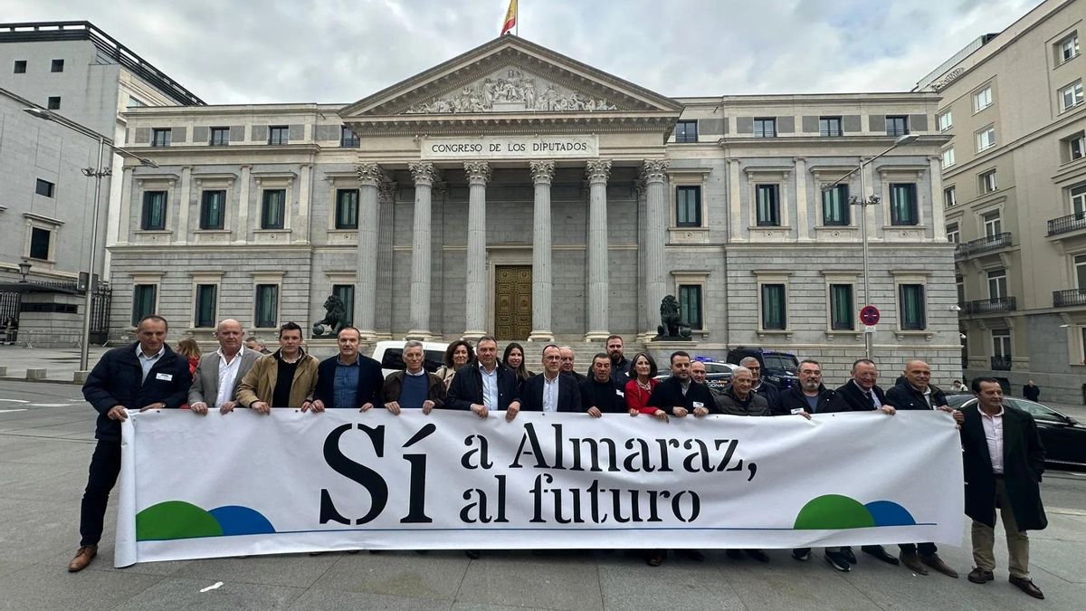 Representantes de la plataforma comarcal de Almaraz, y de otras zonas españolas con nucleares, ante el Congreso de los Diputados este miércoles en Madrid