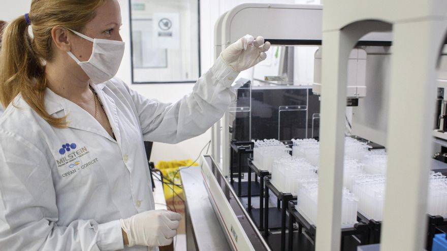 Viruela de mono en Argentina: cinco casos en lo que va del año, ninguno de la nueva variante