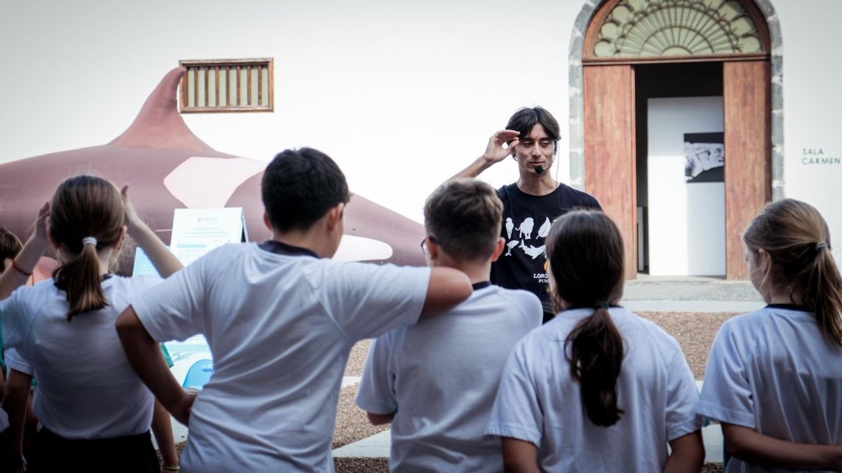 Exposición ‘Cetáceos de la Macaronesia’ ’ en el Museo Insular enmarca en ‘La Palma Blue Experience'