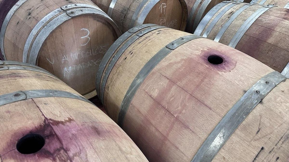 Vinos de Banzao de la cosecha 2025, reposando en las barricas dentro de la bodega.