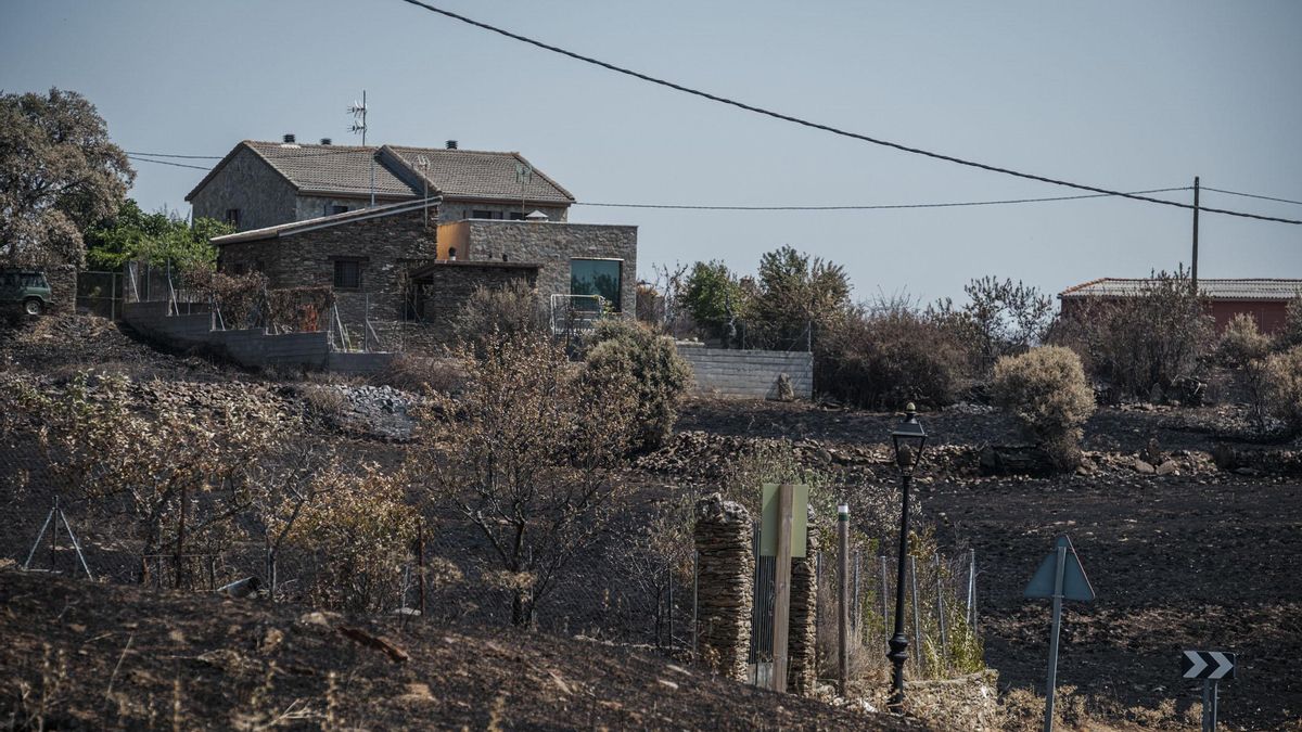 El impacto de los incendios de La Mierla, Selas, Almorox y Burgohondo, según datos provisionales de los registradores