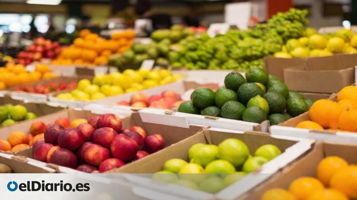 Los precios suben en Canarias un 3,4% en julio, que registra un encarecimiento del transporte