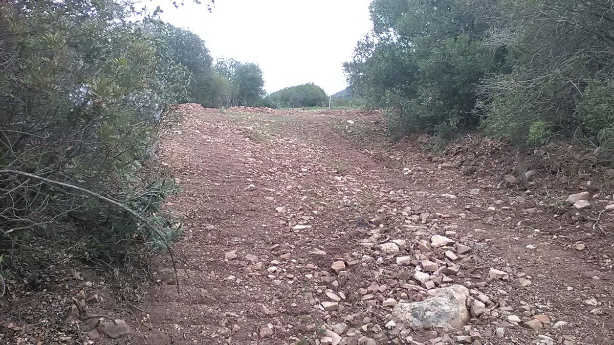 Un tramo de la vía pecuaria del Cordel de la Carolina