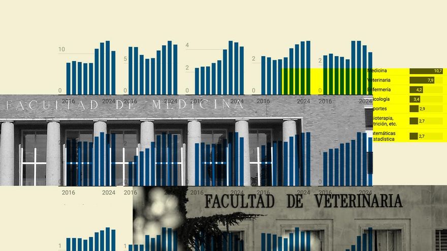 El freno a la universidad pública deja carreras con el 90% de aspirantes sin plaza
