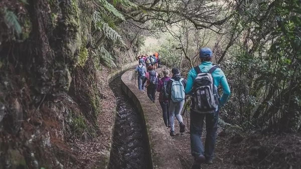Imagen de archivo de un grupo de senderistas en La Palma.