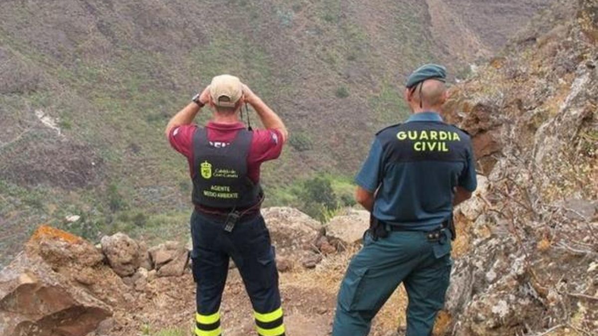 Agentes de Medio Ambiente del Cabildo de Gran Canaria y de la Guardia Civi.
