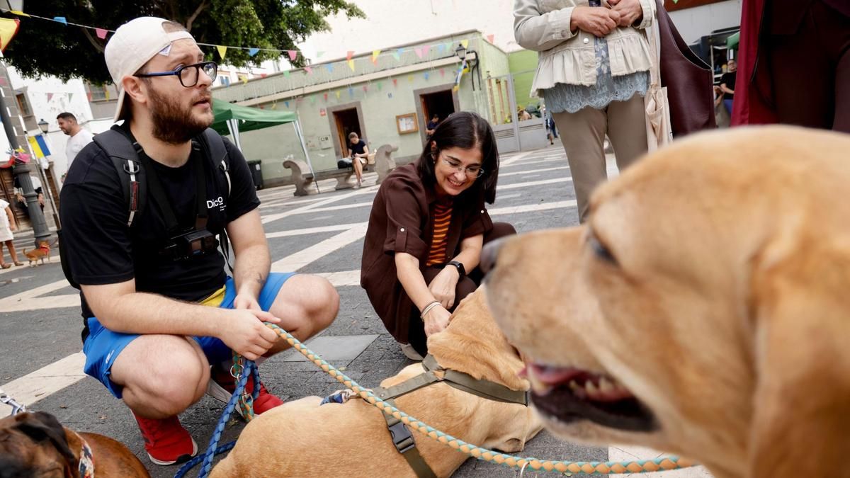 El Ayuntamiento de Las Palmas promueve la adopción responsable de mascotas en la iniciativa ‘De patas por Vegueta’