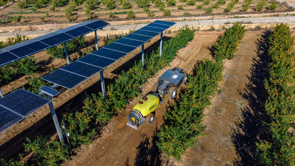 Tractor eléctrico autónomo en una finca de cítricos.