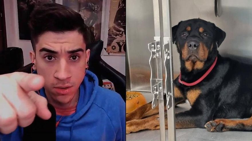 Jorge Jurado ('Los Serrano') denuncia un presunto caso de maltrato animal: "Tu perro está ahora con Currito"