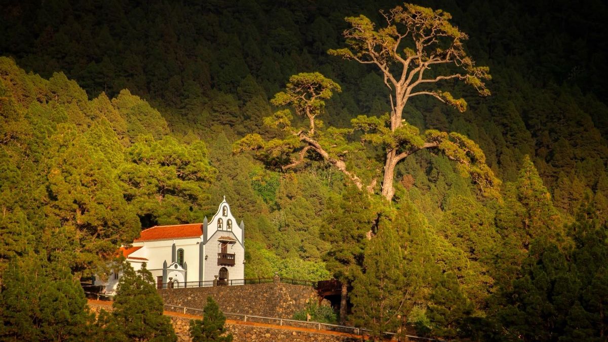 El Centenario de la Ermita de la Virgen del Pino se celebrará el 2027