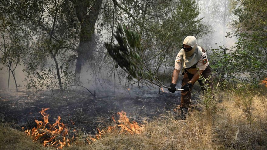 Bomberos trabajan en Betxí (Castellón) en la extinción del incendio de Vall d'Uixó.