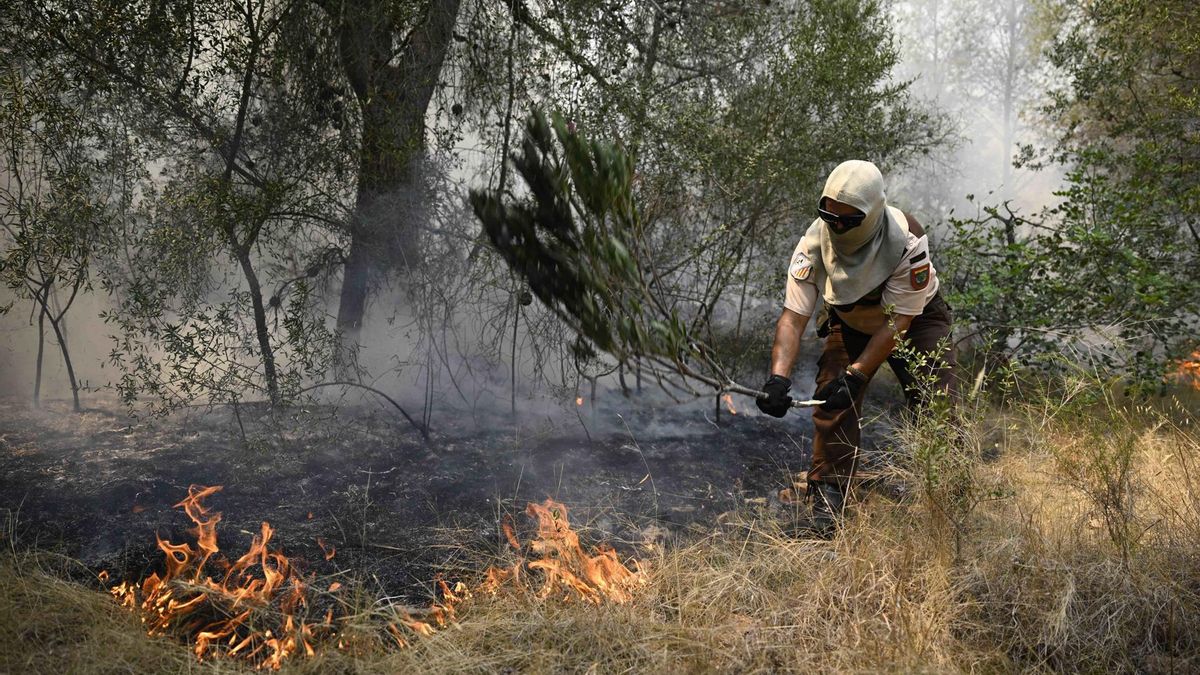 El incendio de La Vall d'Uixó sigue "muy activo" y afronta una tarde "larga y complicada"