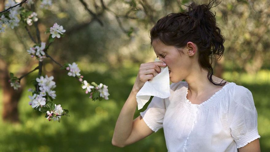 Un especialista del Quirónsalud advierte a los alérgicos sobre el polen, los caballos y la comida en la Feria