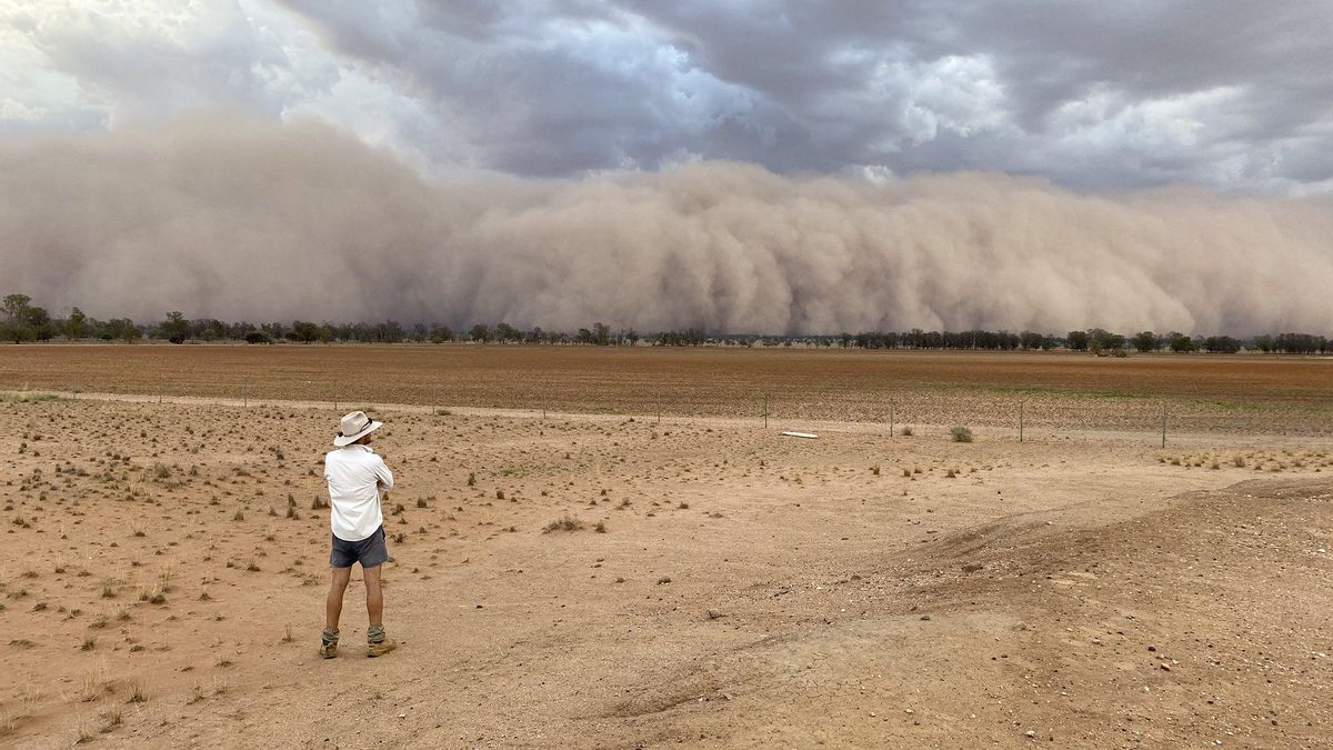 Día Internacional de la Lucha contra las Tormentas de Arena: el lugar del mundo que más las sufre