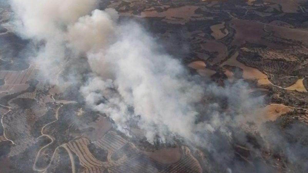 El incendio forestal originado en el vertedero de Alcañiz (Teruel) continúa activo: 56 hectáreas afectadas