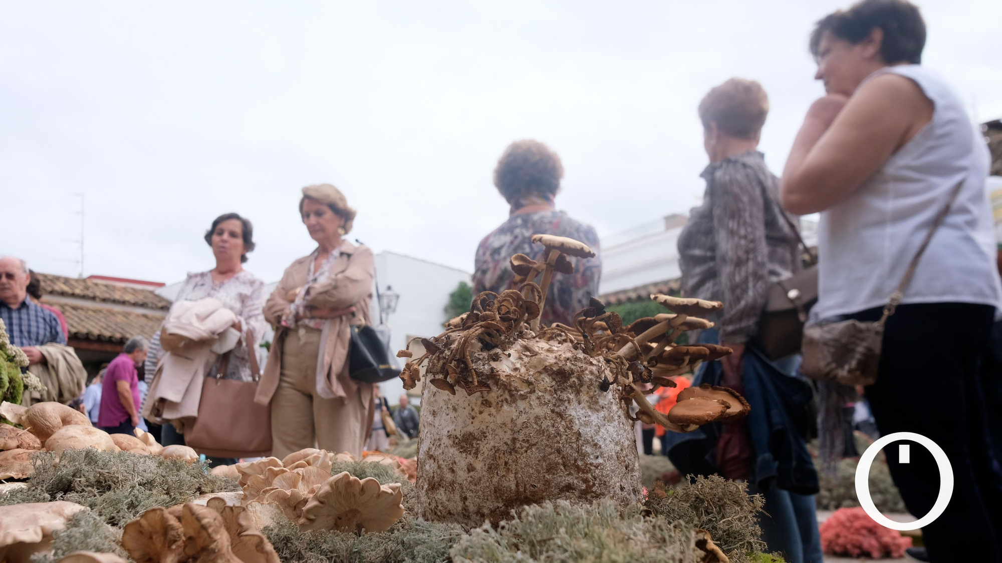 Festival de Flora 2022