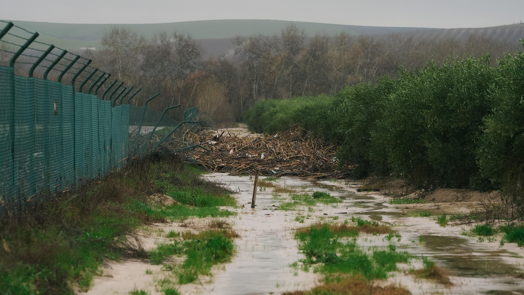 El lodo y el barro, dentro de las parcelas de las calles Perdiz y La Tórtola