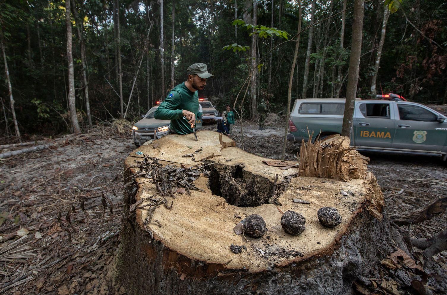 Primer premio categoría ‘Medio Ambiente’