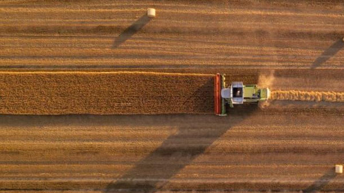 El Ministerio asigna 2,3 millones de euros para 384 agricultores y ganaderos de Castilla-La Mancha en su mayoría jóvenes