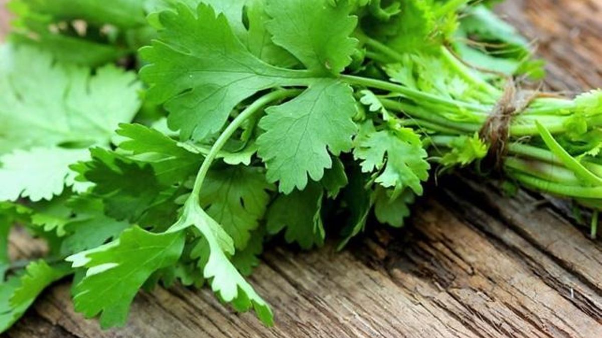 No, no tienes el paladar atrofiado, ¡es normal que el cilantro te sepa a jabón!