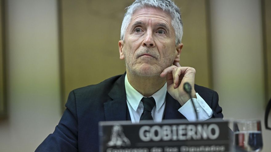 Marlaska anuncia la revisión del protocolo de acoso de la Policía para saber por qué la víctima del ex-DAO no recurrió a él