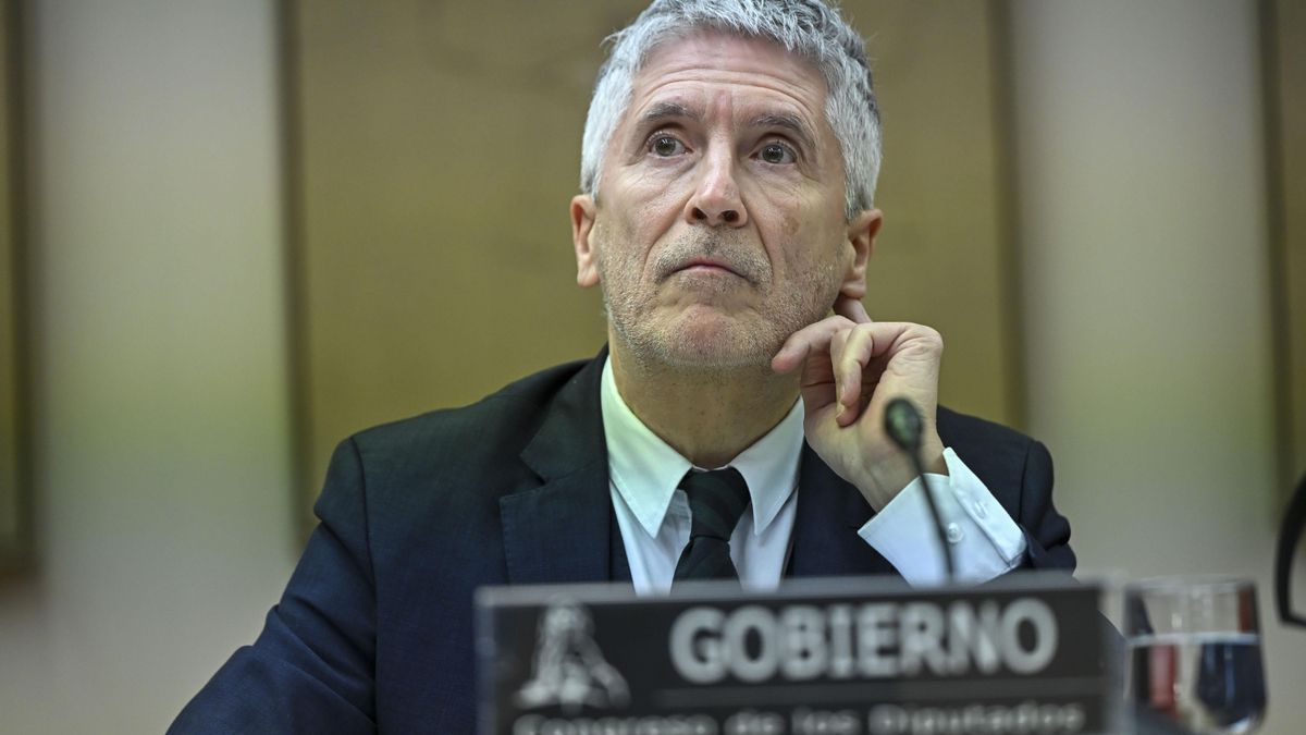 Marlaska anuncia la revisión del protocolo de acoso de la Policía para saber por qué la víctima del ex-DAO no recurrió a él