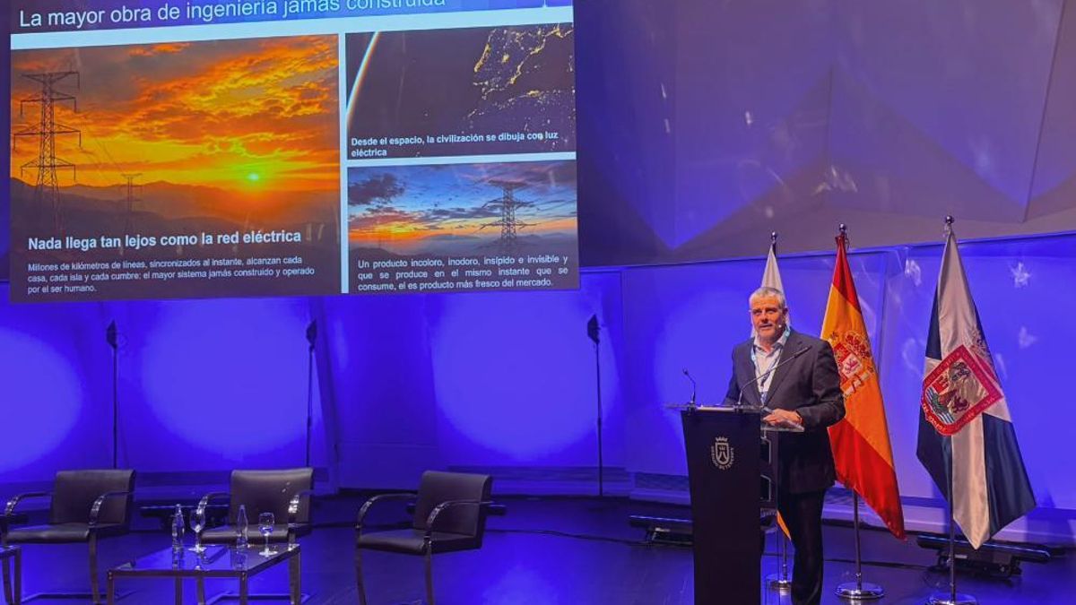 Carlos Lafoz: "Se está dando una transformación en las redes eléctricas, que han pasado de obedecer a ser capaces de pensar y decidir"