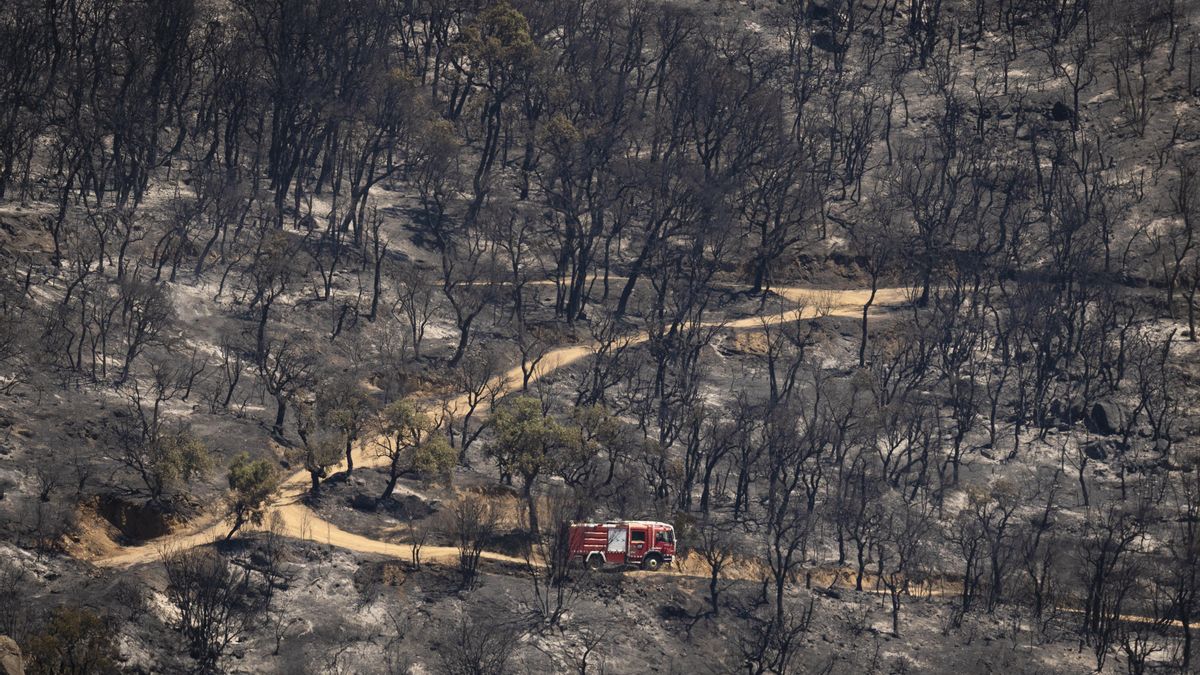 El incendio de Girona alcanza algunas casas en Calonge y amenaza con extenderse más por Les Gavarres