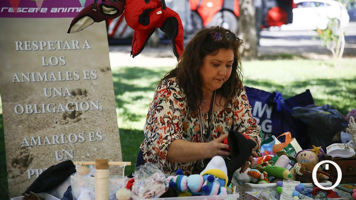 Jornada de sensibilización a la ciudadanía para la adopción de animales de compañía