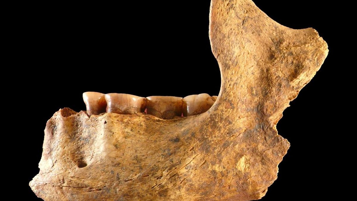 La Dama Roja de El Mirón contribuye a definir la historia genética humana desde la Edad de Hielo