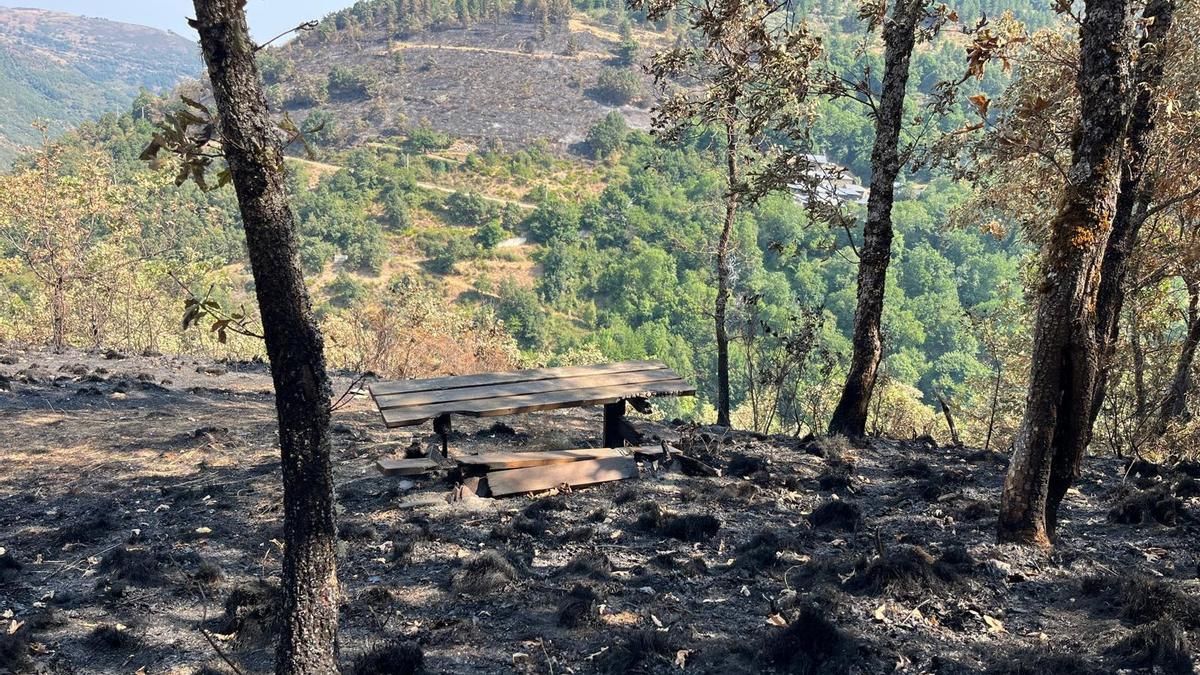 Zona de Palacios de Compludo tras los incendios de 2025.