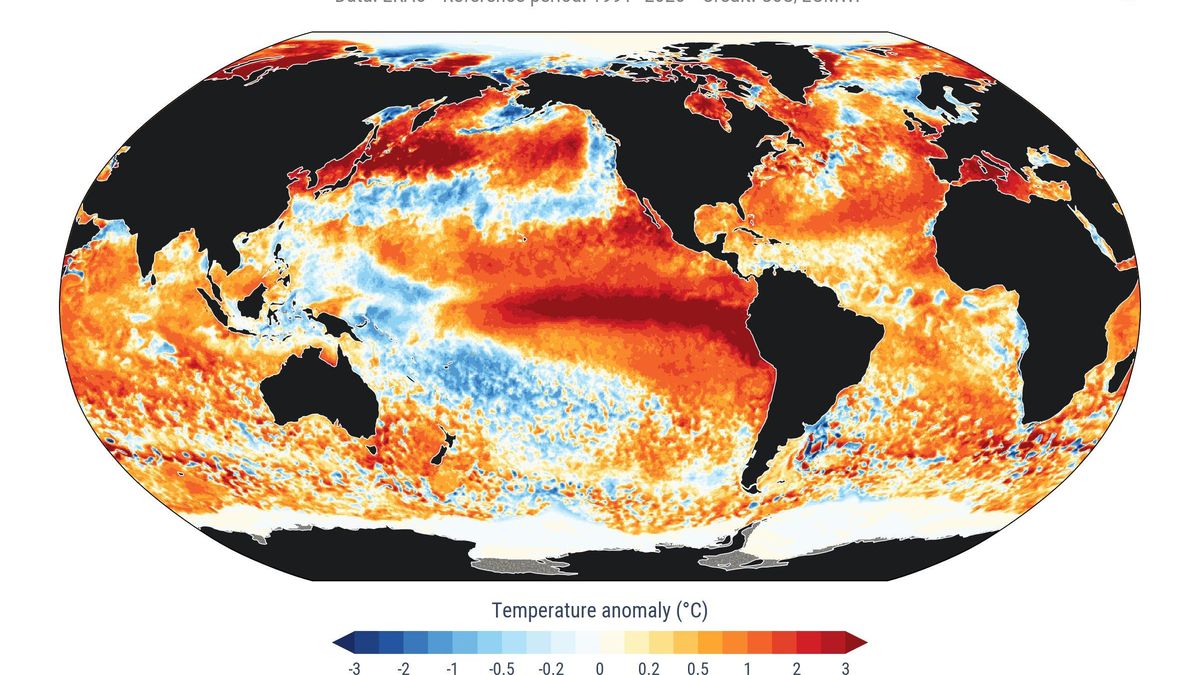 Anomalías en la temperatura de la superficie del mar para el 22 de agosto de 2026.