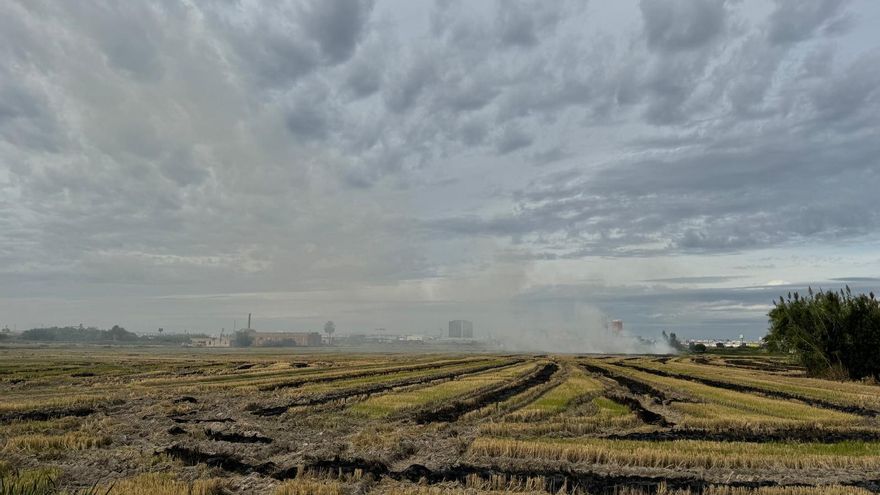 La quemas de paja de arroz en la Albufera de València se cuadruplican en dos días y se dispara la contaminación