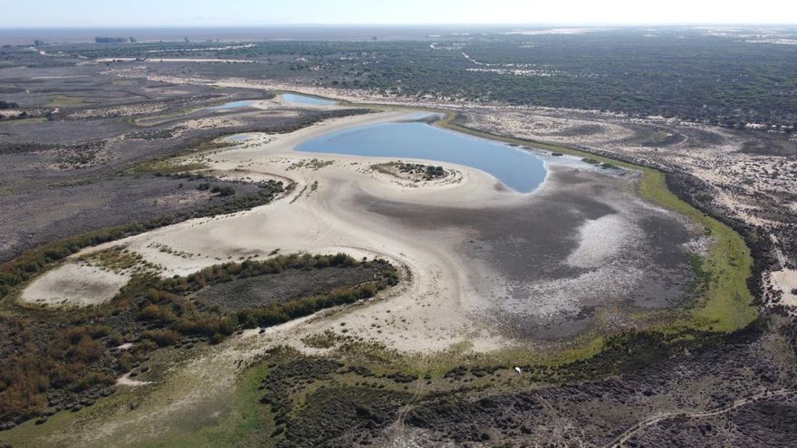 Las lluvias dan a Doñana un respiro muy leve: sólo se inunda el 1,8% de la marisma