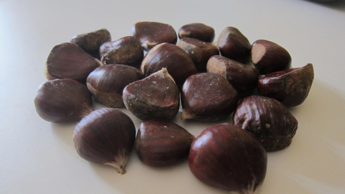 La recolección de la castaña aumenta un 60% en Andalucía y la producción alcanza los seis millones de kilos