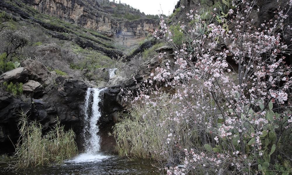 Cumbre grancanaria a jueves, 8 de febrero de 2018.