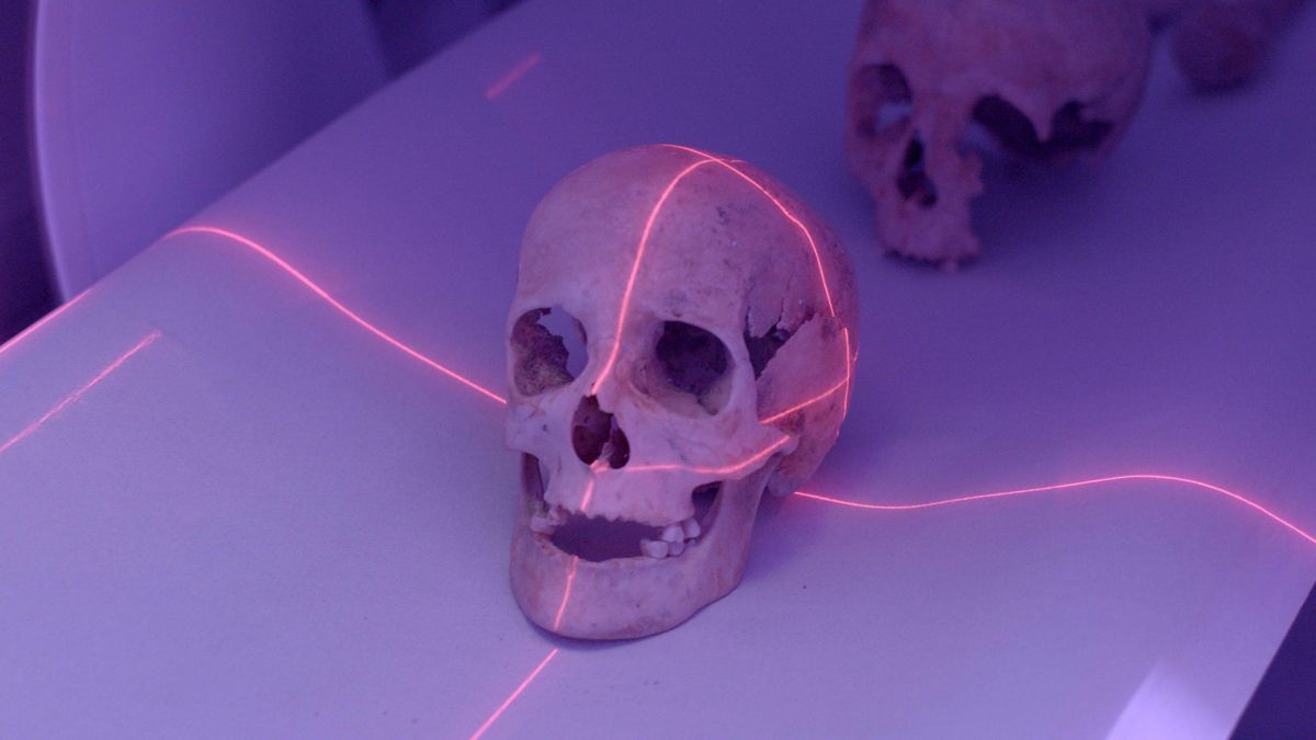 Reconstrucción en 3D de uno de los cráneos examinados en la Universidad de Granada.