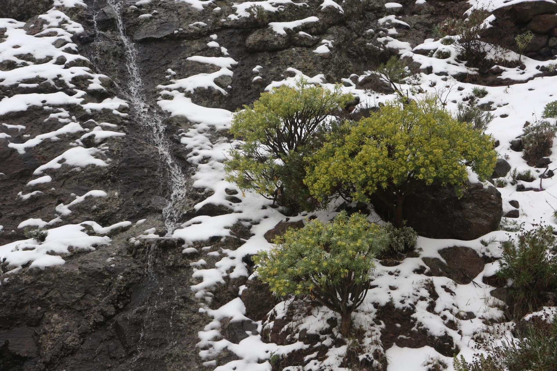 Nieve en el Roque Nublo (ALEJANDRO RAMOS)
