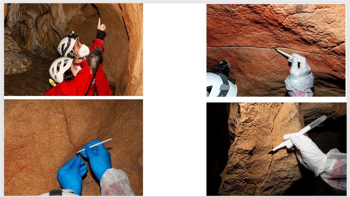 Descubren que las paredes de las cuevas actúan como "archivos biológicos" de la Prehistoria