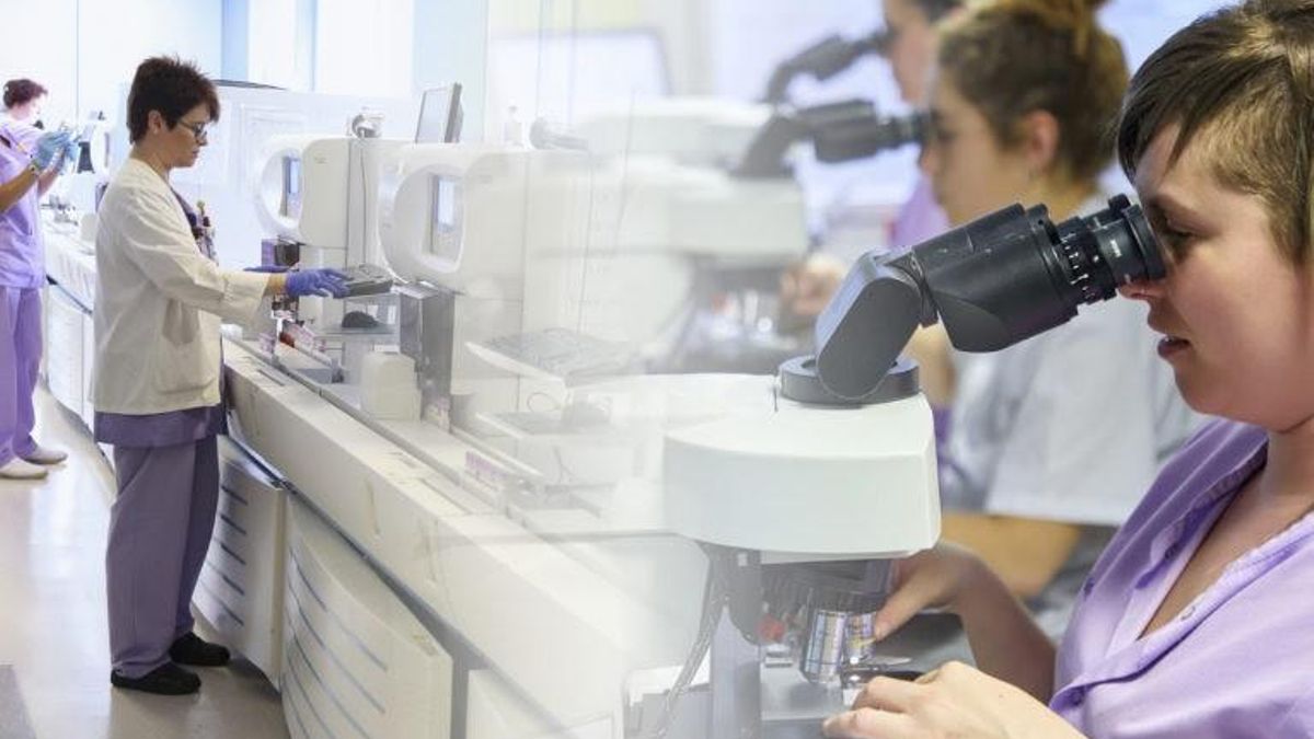 El sindicato Satse denuncia que las agresiones a sanitarios han crecido un 26% en Euskadi en 2025