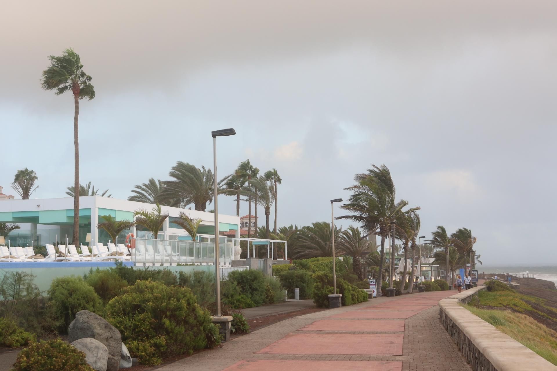 Temporal de viento y lluvia en el sur de Gran Canaria (A. RAMOS)