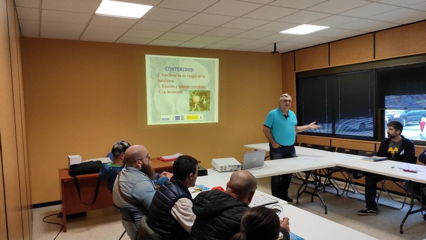 Curso de identificación de setas.