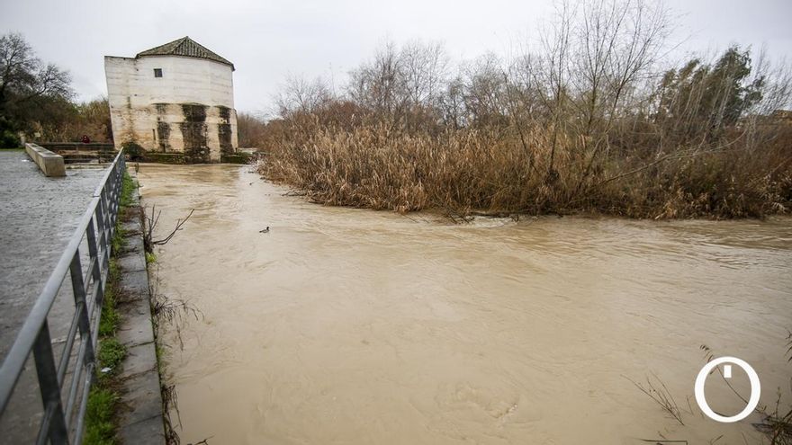 La crecida del río Guadalquivir a su paso por Córdoba