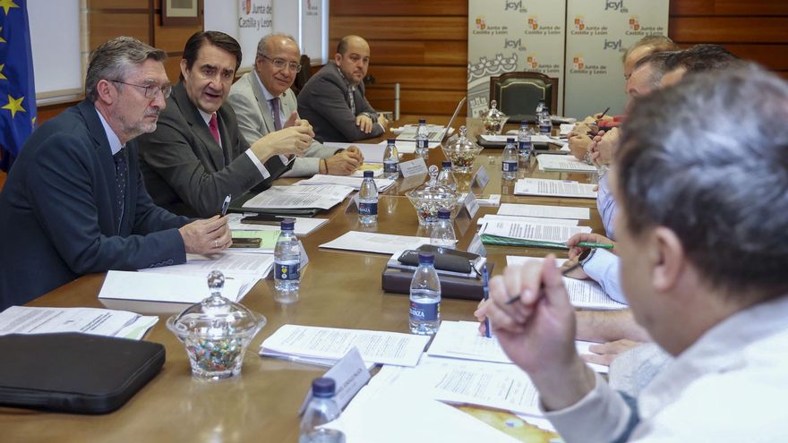 La Junta de Castilla y León calcula que los ataques del lobo aumentaron un 11% en 2024