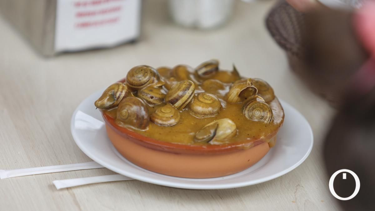 Comienzo de la temporada de caracoles 2023 - Caracoles Peque