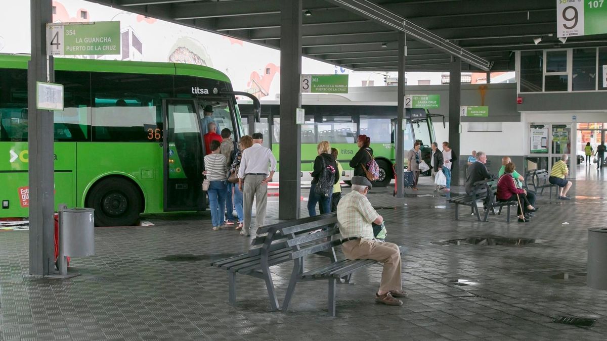 La nueva línea 464 de Titsa ya conecta Icod de los Vinos y Costa Adeje: horarios y recorrido