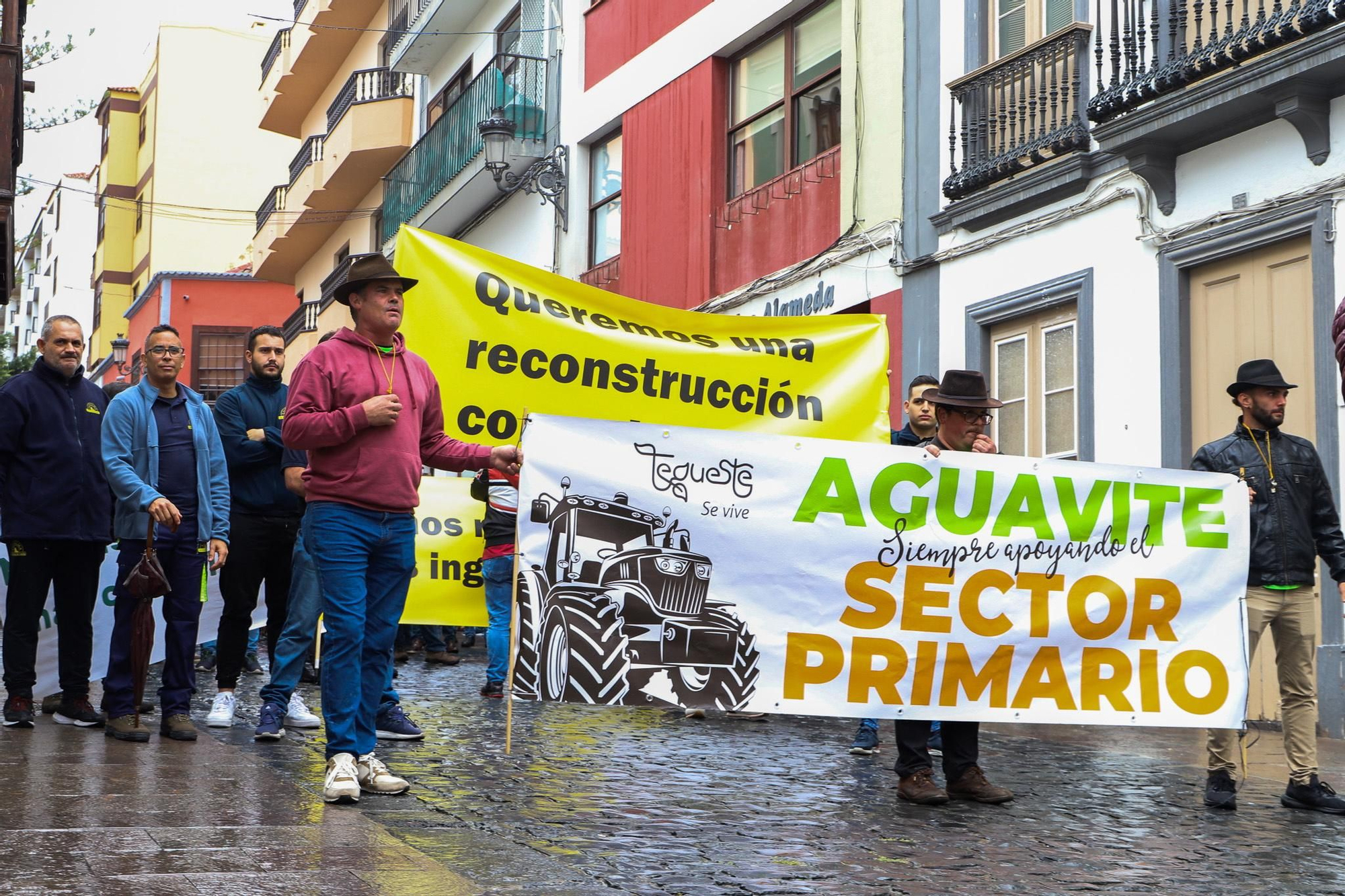Los agricultores de La Palma se manifestaron este viernes en la capital. LUIS G. MORERA/EFE