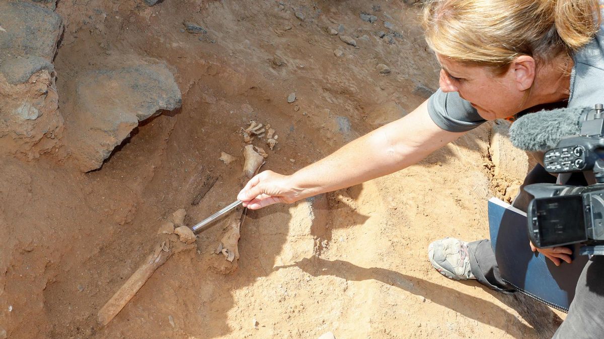 Una arqueóloga muestra los restos encontrados en La Guancha, Gran Canaria.