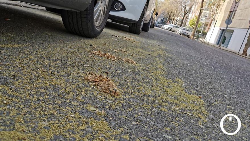 Córdoba alcanza ya los niveles más altos de cuatro tipos de polen