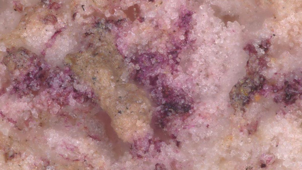 Yeso teñido de púrpura en el entierro infantil visto bajo microscopio.